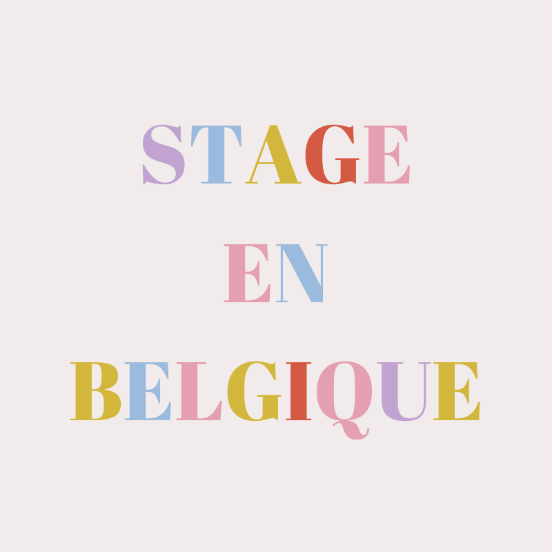 stage_en_Belgique_cowakeup